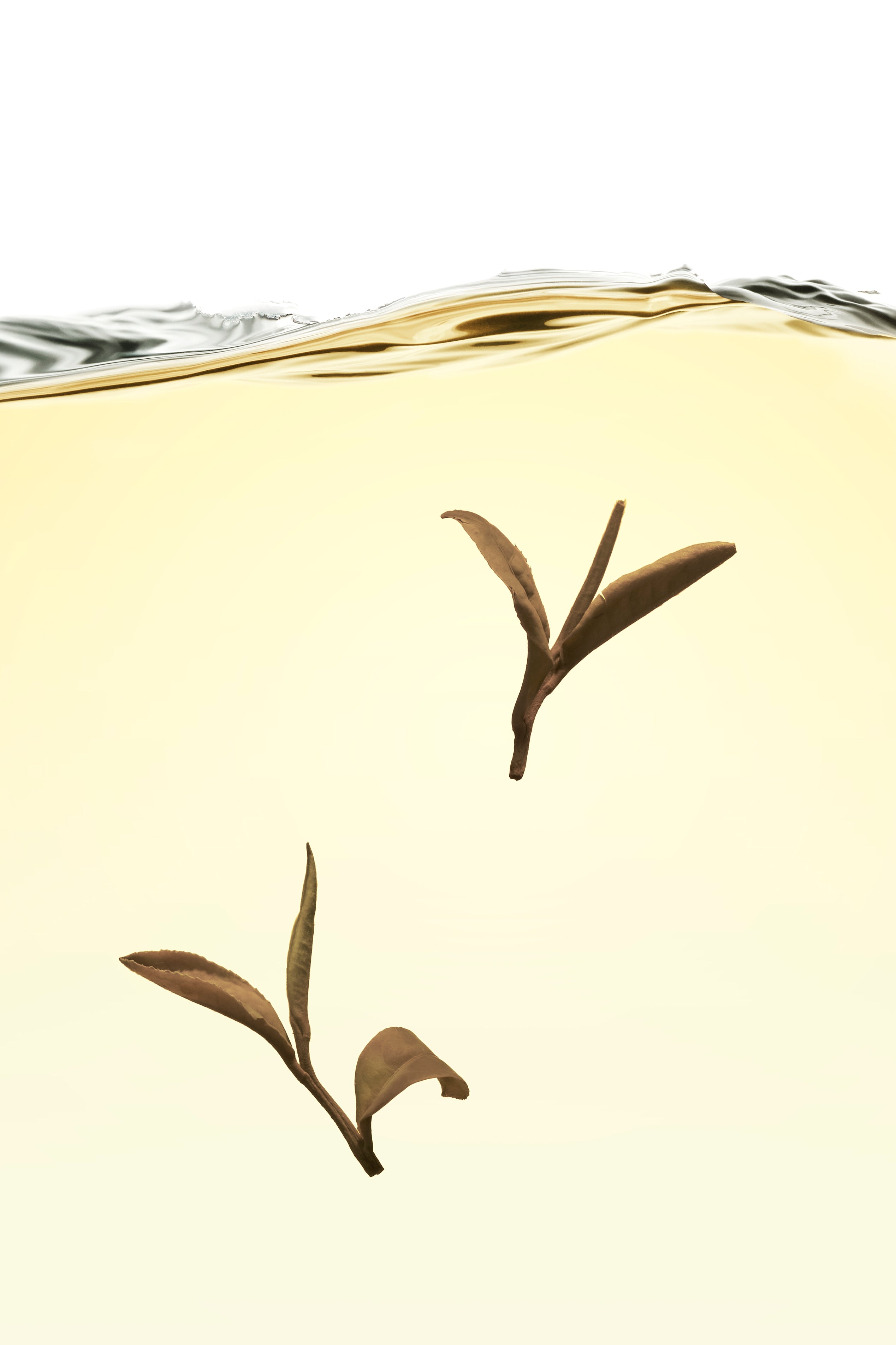 Tea Collection