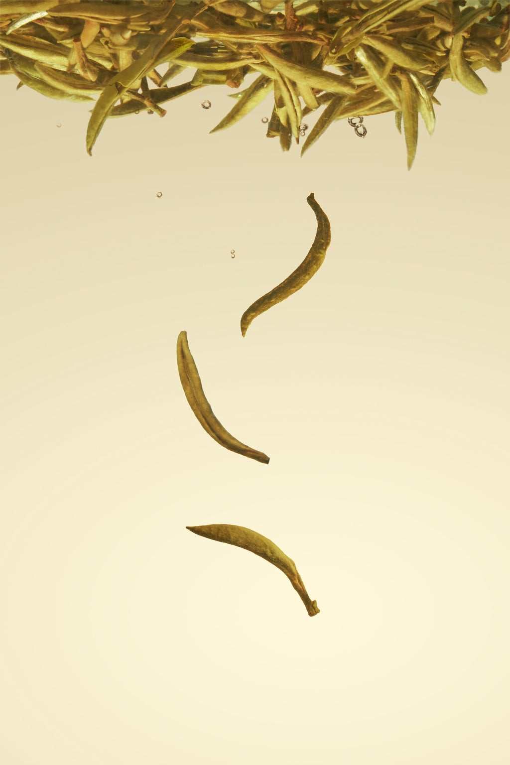 SILVER NEEDLE image 1