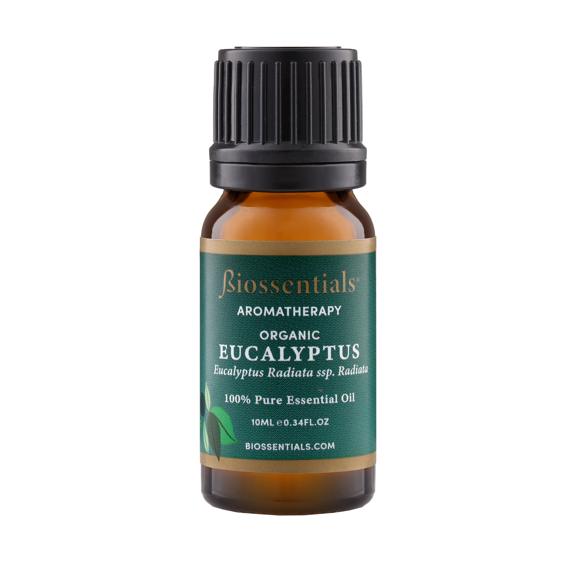 Eucalyptus Radiata Organic