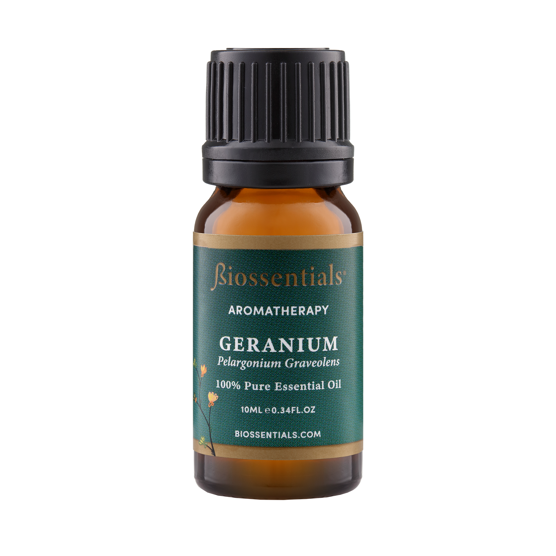 Geranium