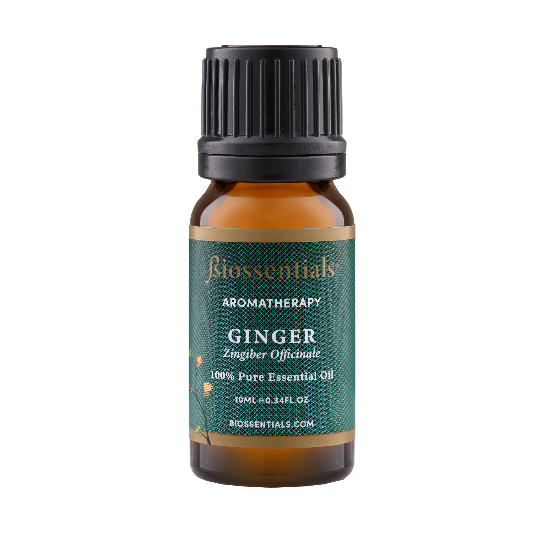 Ginger
