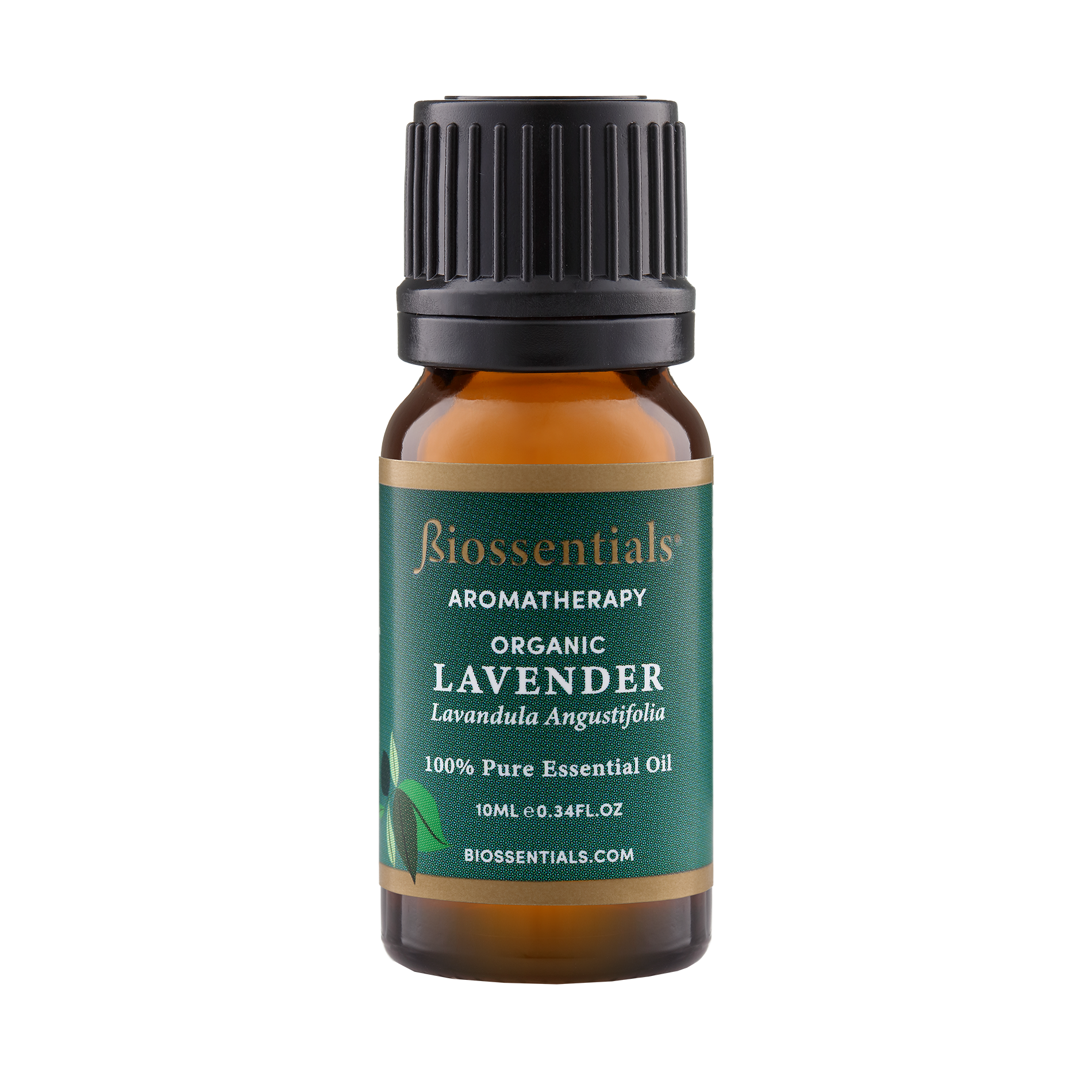 Lavender Organic