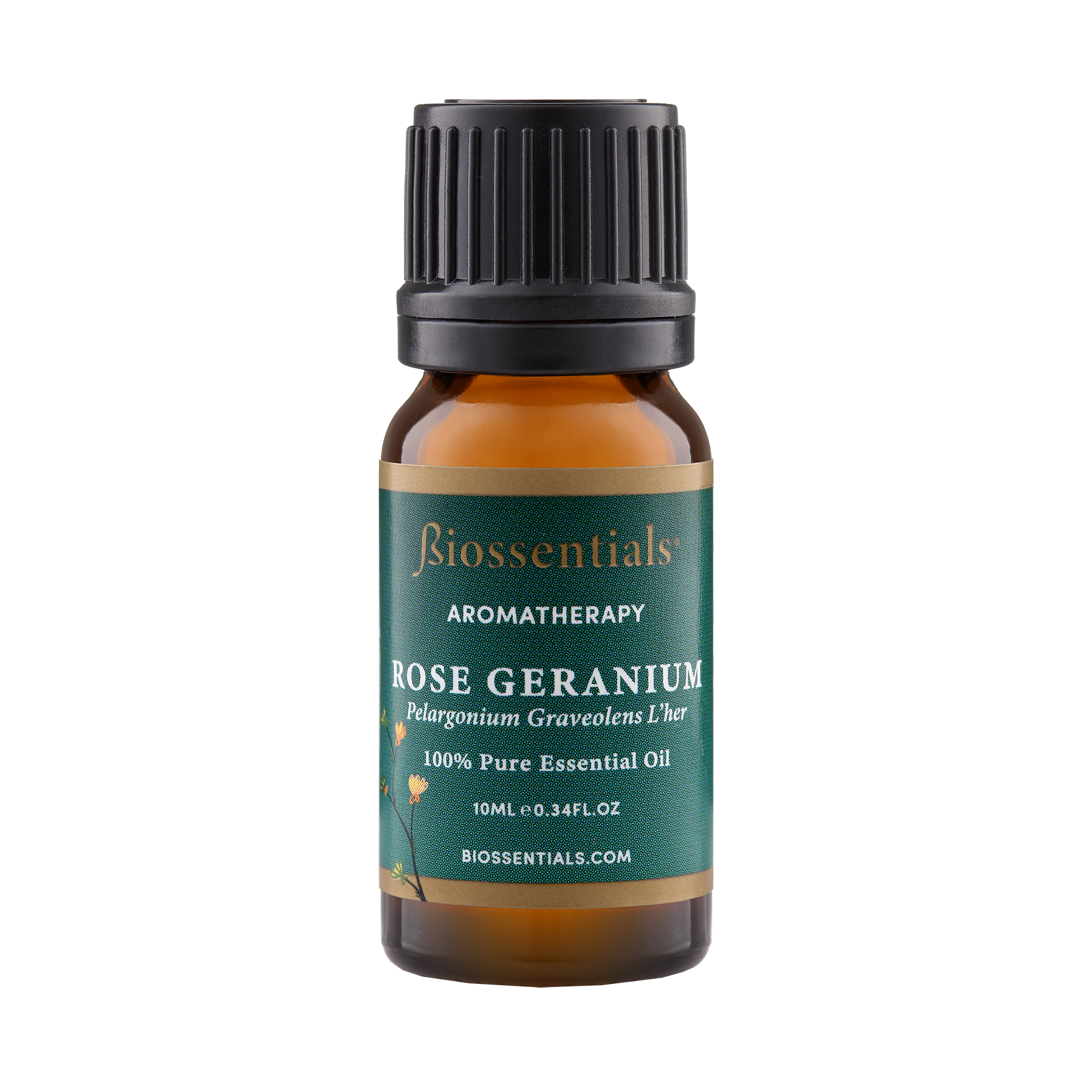 Rose Geranium