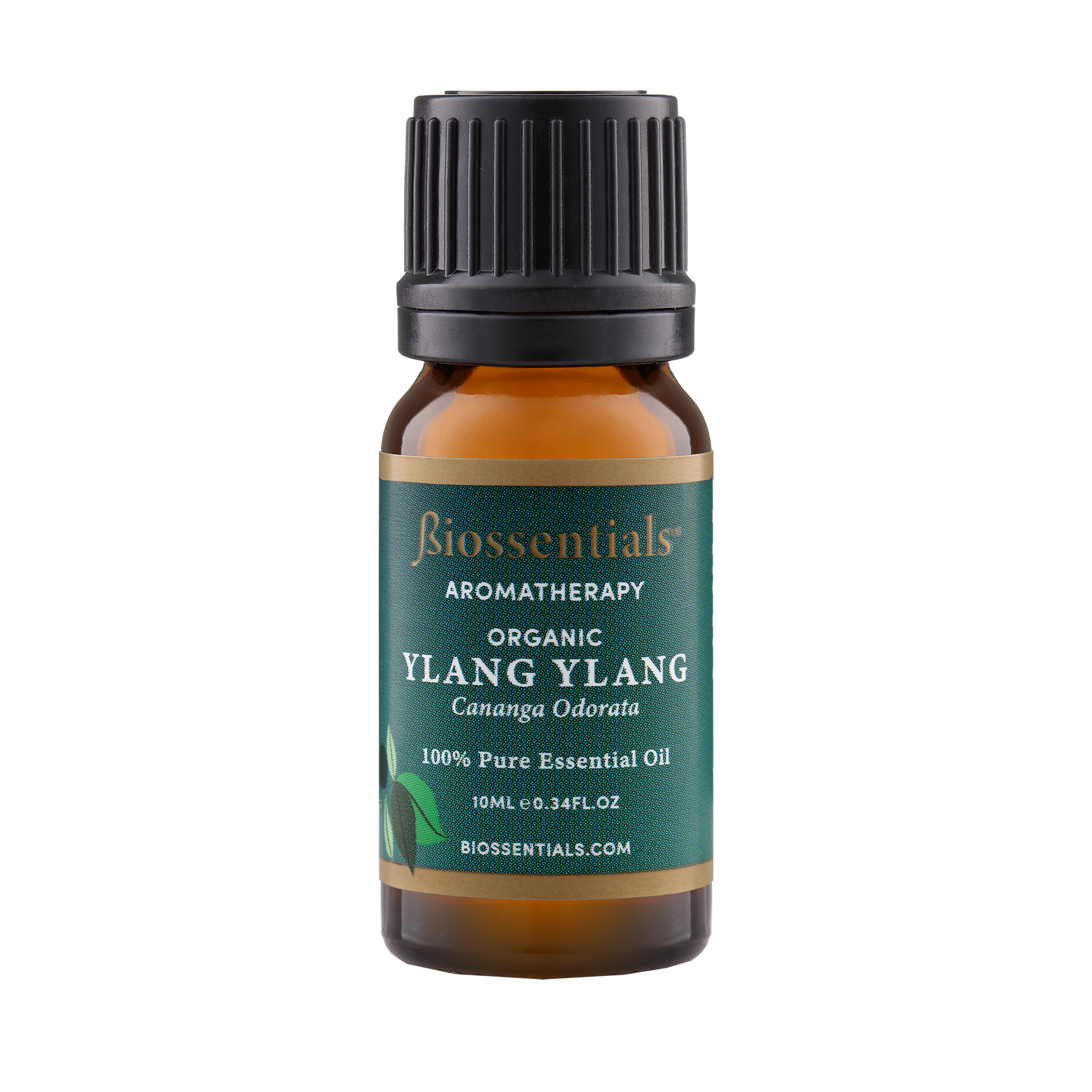 Ylang Ylang