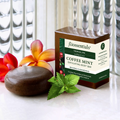 Coffee Mint Exfoliating Body Bar