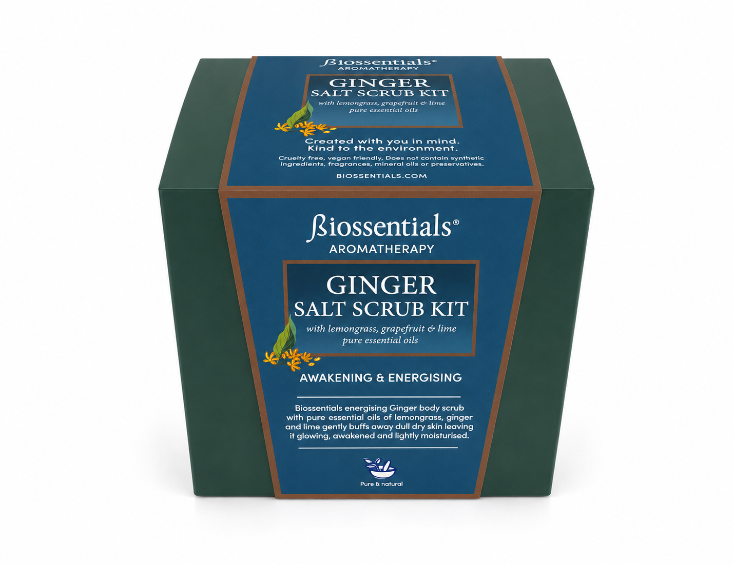 GINGER