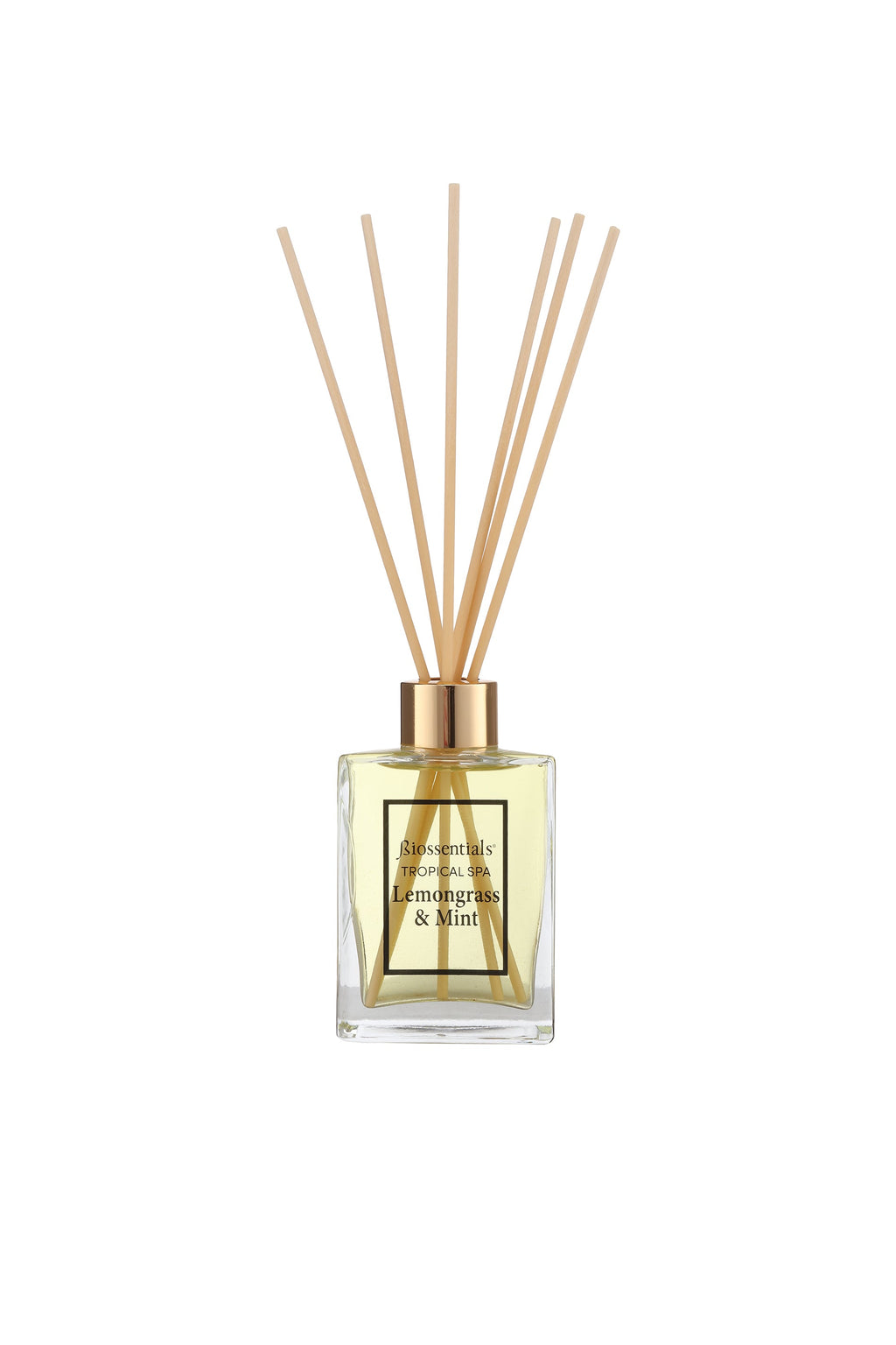LEMONGRASS & MINT