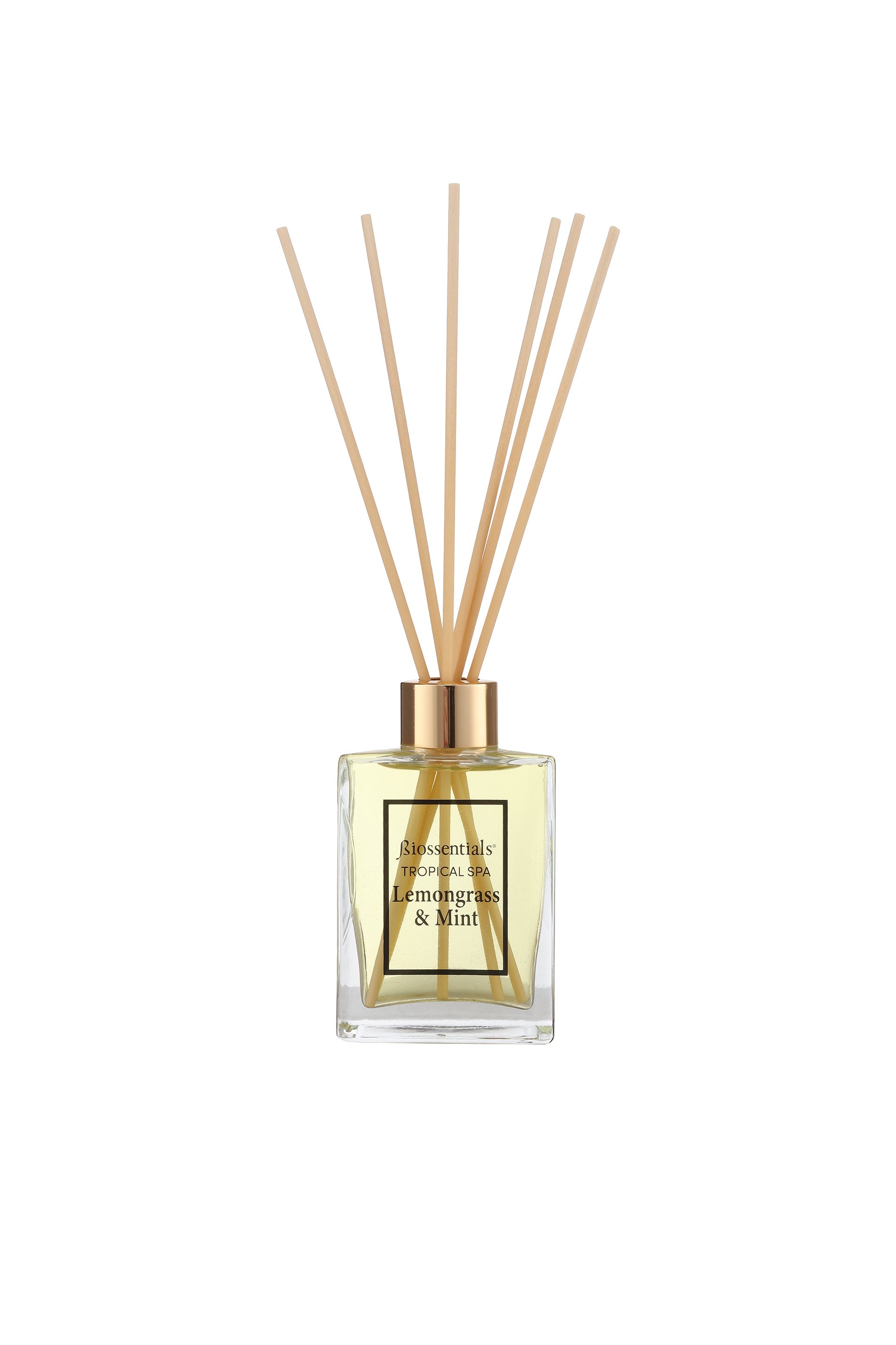 LEMONGRASS & MINT